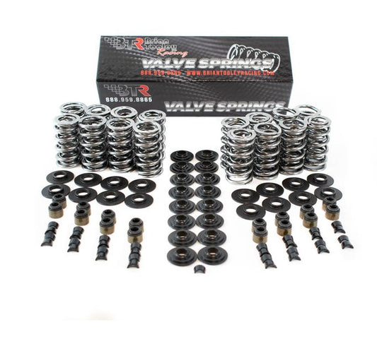 BTR PLATINUM LS DUAL SPRING KIT - .660" LIFT - SK001